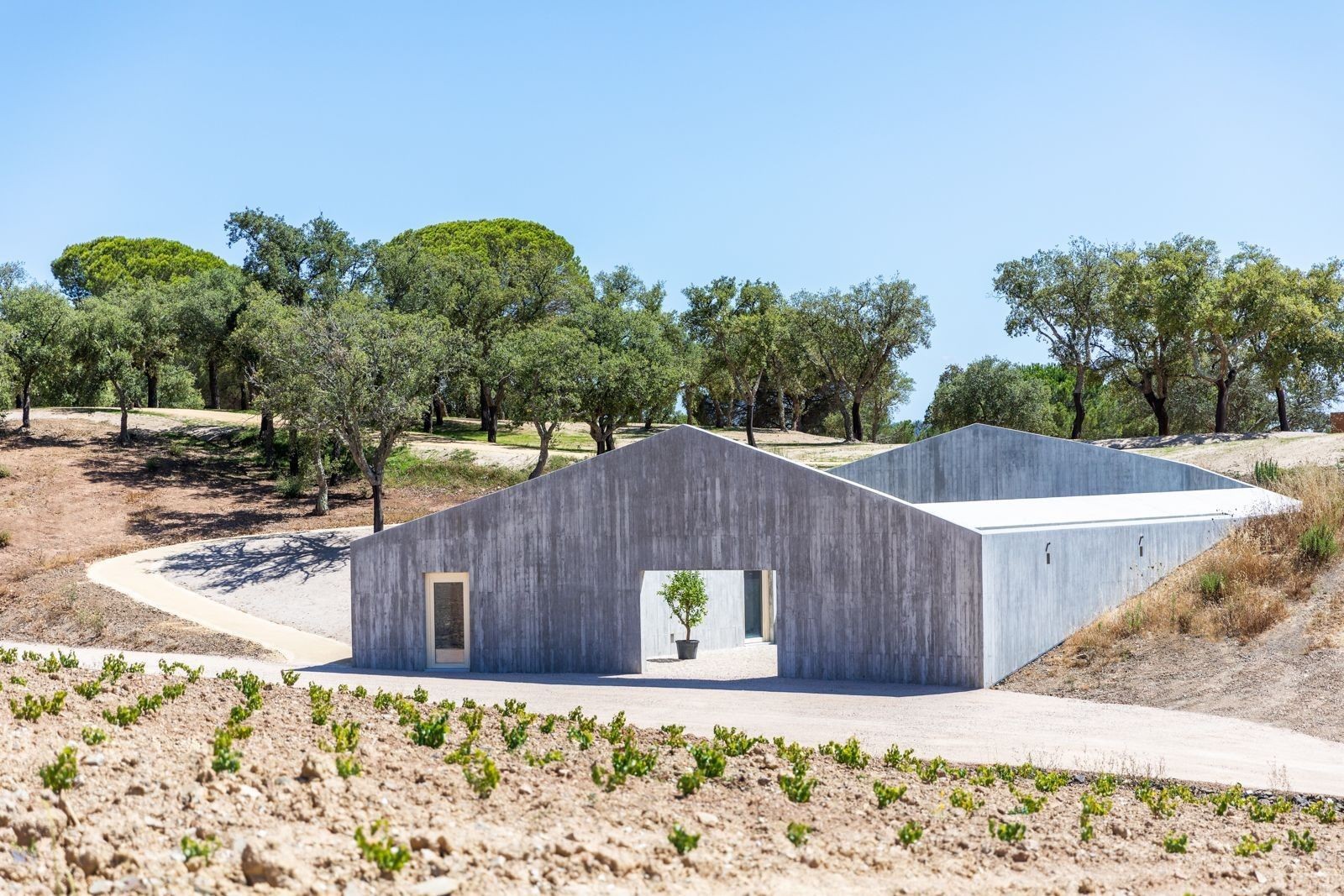oliveiras portfolio